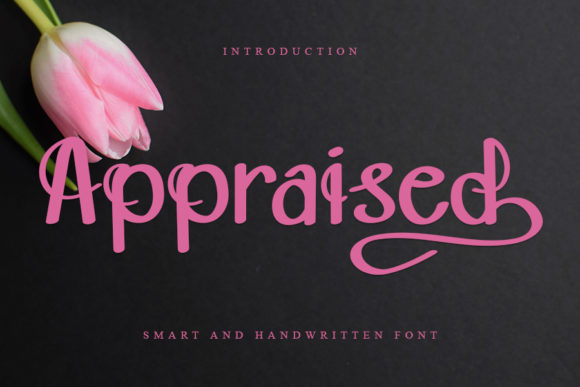 Appraised: A Premium Script Handwritten Font Review
