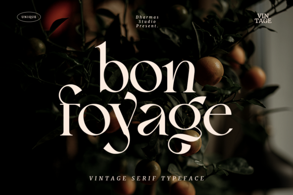 Bon Foyage: A Unique Serif Font for Realistic Branding