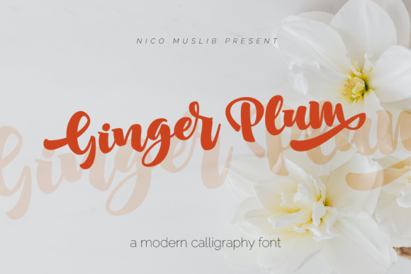 Ginger Plum: A Unique Handwritten Font for Web Design