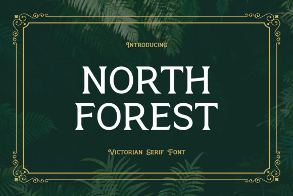 North Forest: A Vintage Serif for Editorial Design