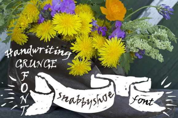 Snabbyshoe: A Whimsical Script Font for Web Design